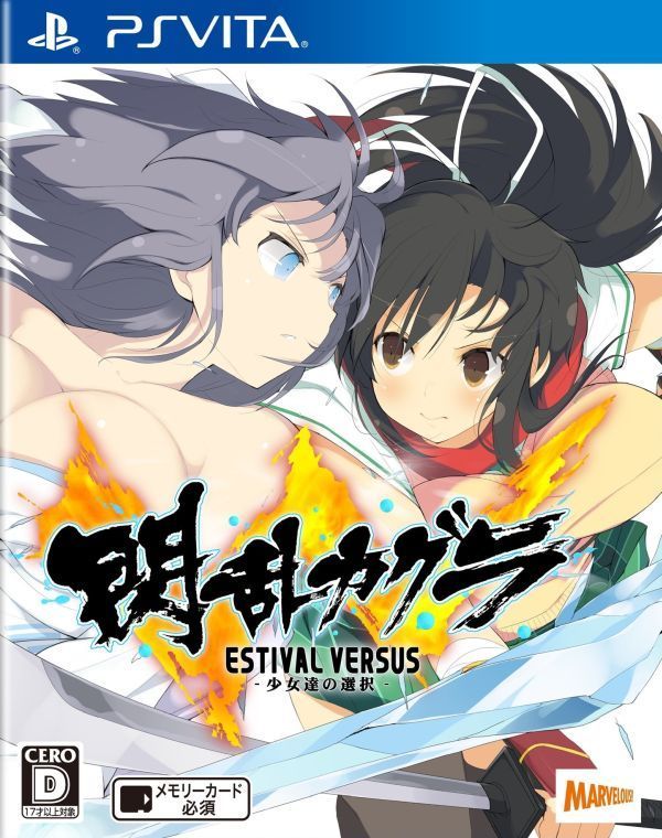 閃乱カグラ ESTIVAL VERSUS  (senran kagura estival versus)