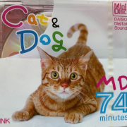 daiso cat & dog