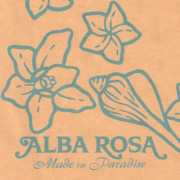 alba rosa letter set ca. 1990s